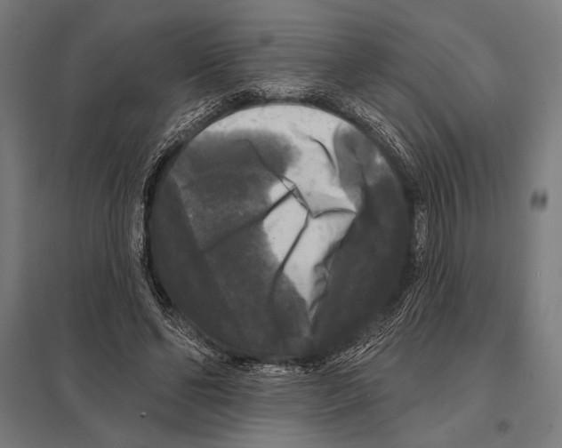 X0000097590494200803280931