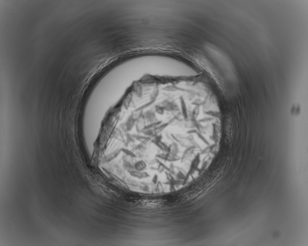 X0000097590495200803280931