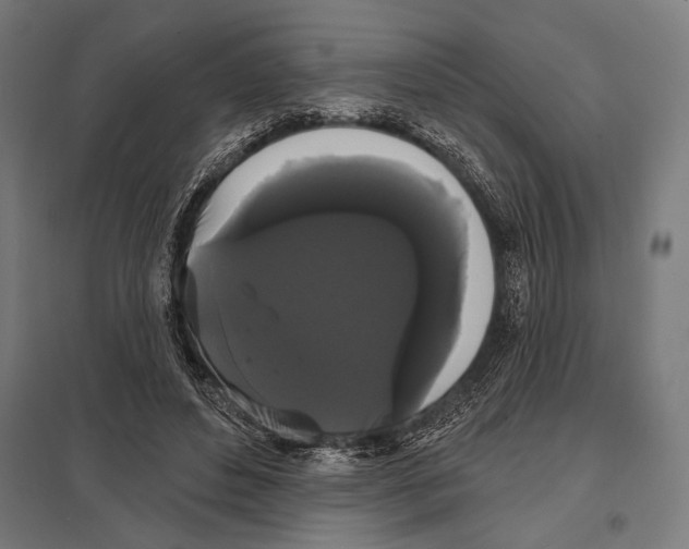 X0000097590496200803280931