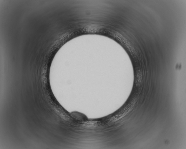 X0000097590497200803280931