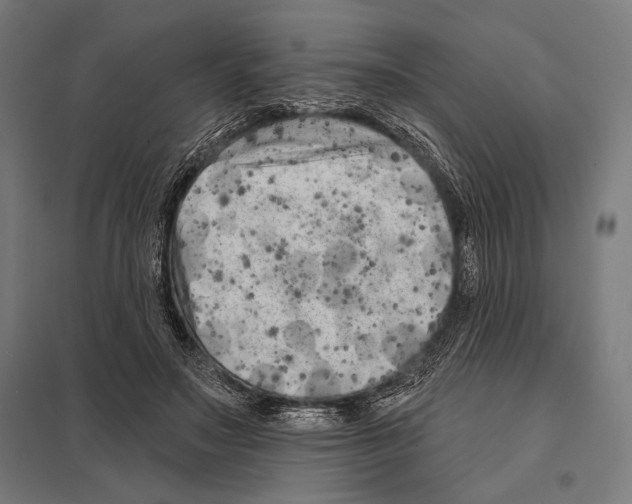 X0000097590499200803280931