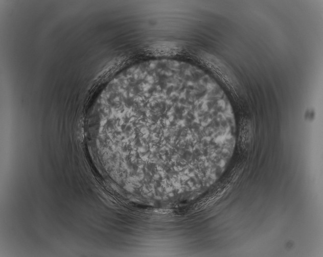 X0000097590501200803280931