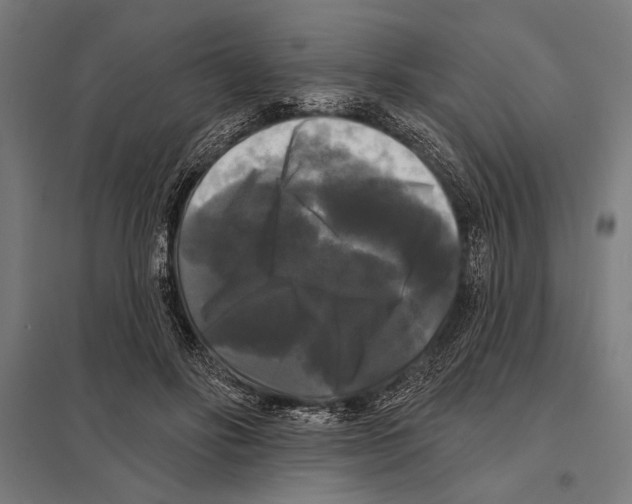 X0000097590502200803280931