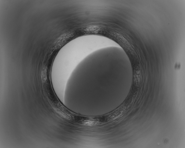 X0000097590504200803280931