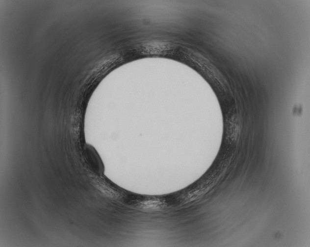 X0000097590505200803280931