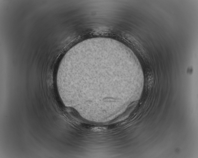 X0000097590508200803280930