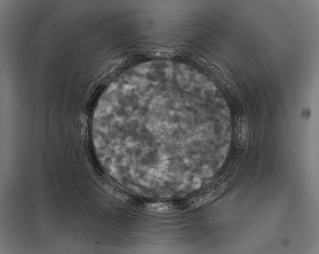 X0000097590511200803280930