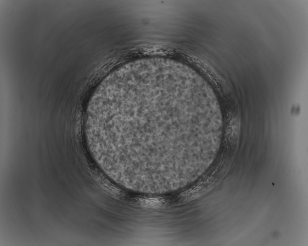 X0000097590513200803280930