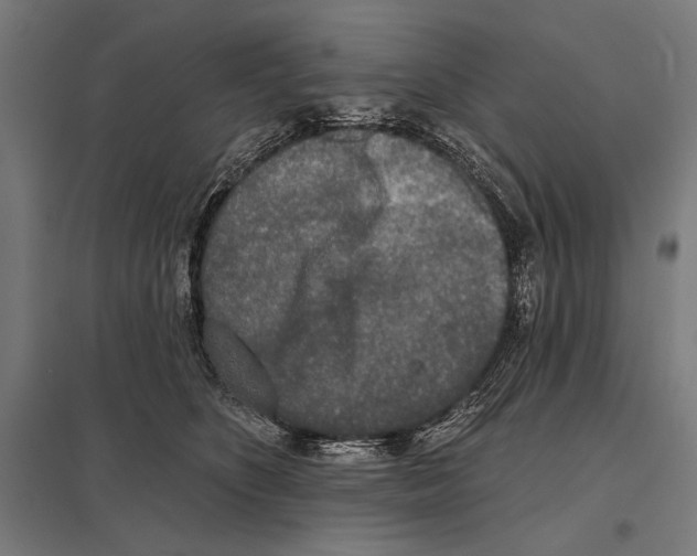 X0000097590516200803280930