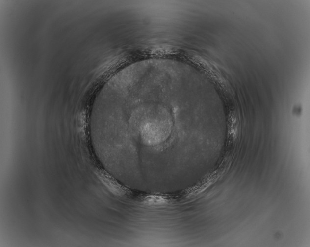 X0000097590519200803280930