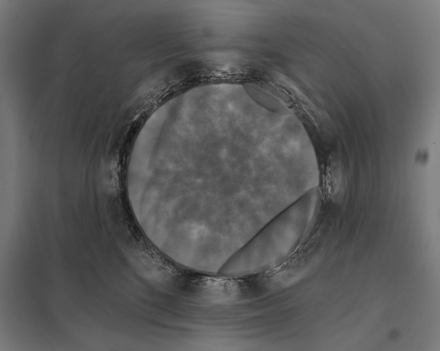 X0000097590520200803280930