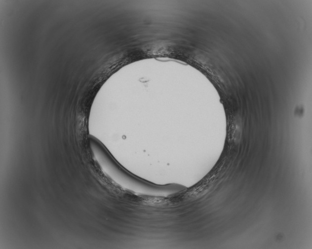 X0000097590521200803280930