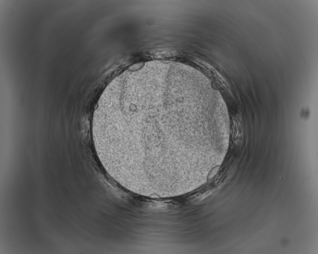 X0000097590523200803280930