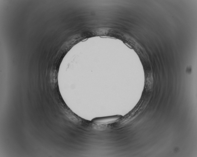 X0000097590525200803280930