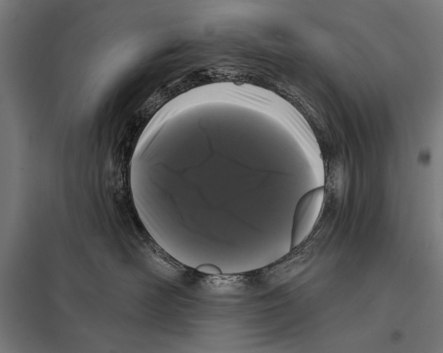 X0000097590526200803280930