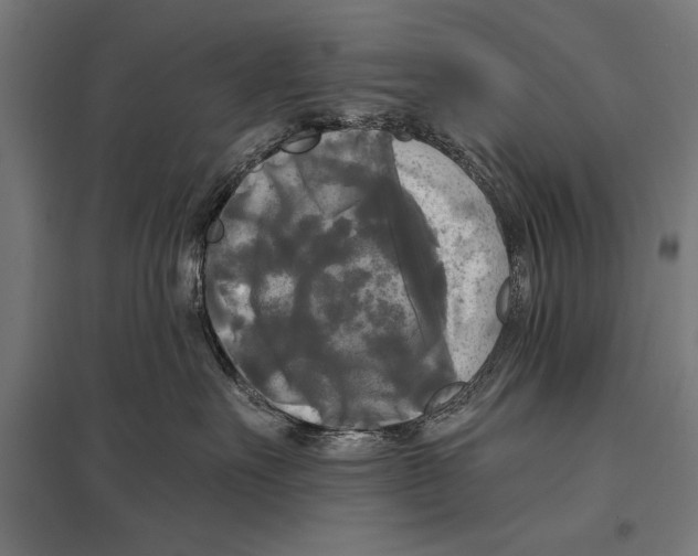 X0000097590527200803280930