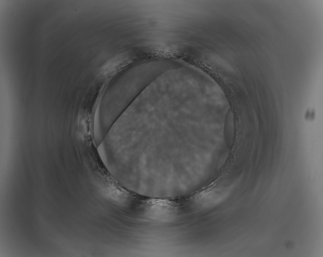 X0000097590528200803280930