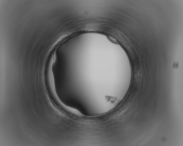 X0000097590530200803280929