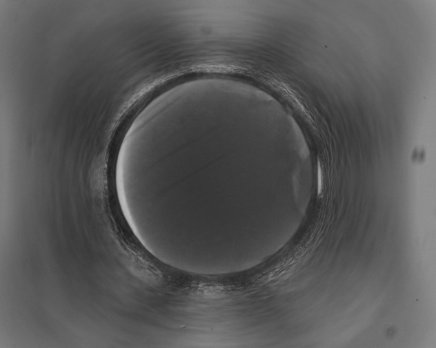 X0000097590531200803280929