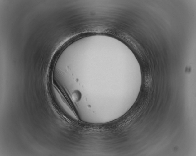 X0000097590532200803280930