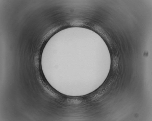 X0000097590533200803280930