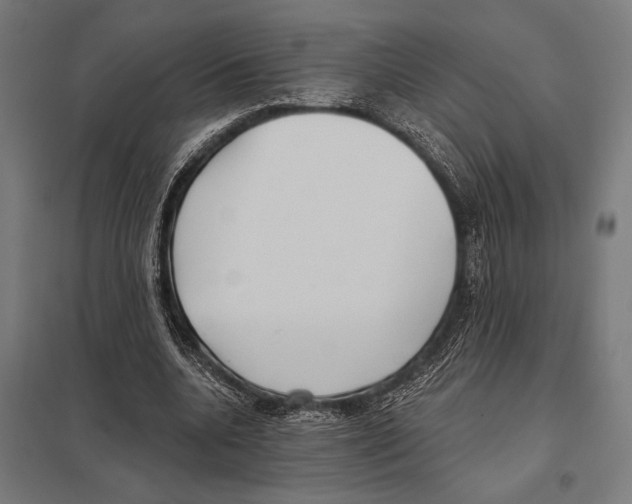 X0000097590536200803280930