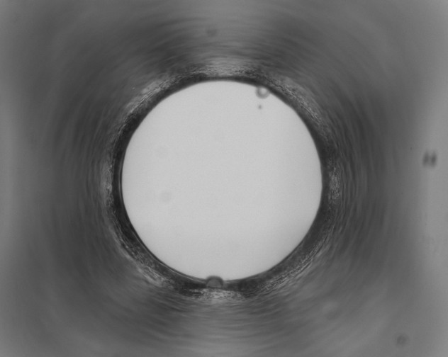 X0000097590539200803280930