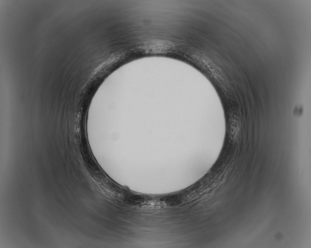 X0000097590543200803280930