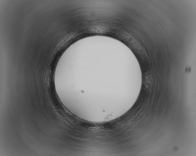 X0000097590544200803280930