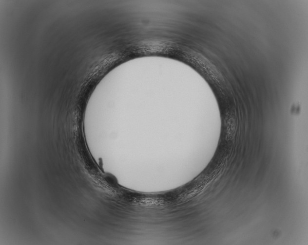 X0000097590546200803280930