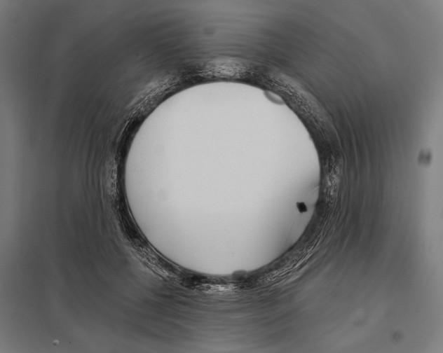 X0000097590552200803280930