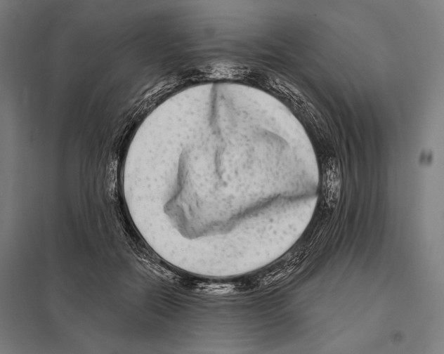 X0000097590554200803280930