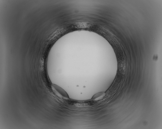 X0000097590556200803280930