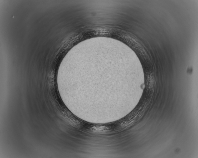 X0000097590557200803280930