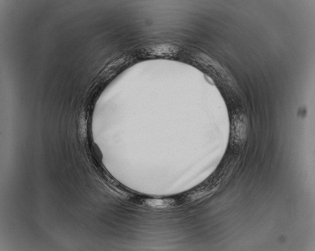 X0000097590558200803280930