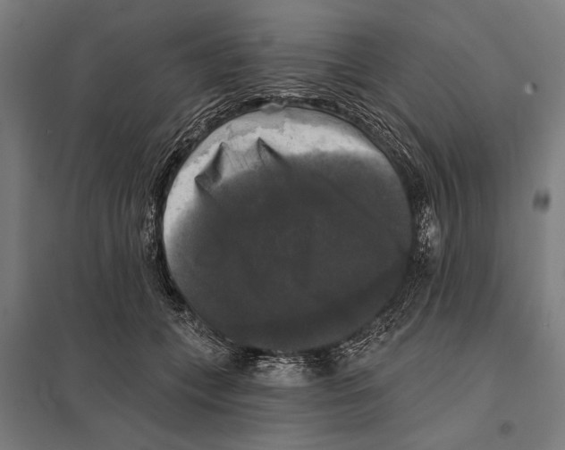 X0000097590559200803280930