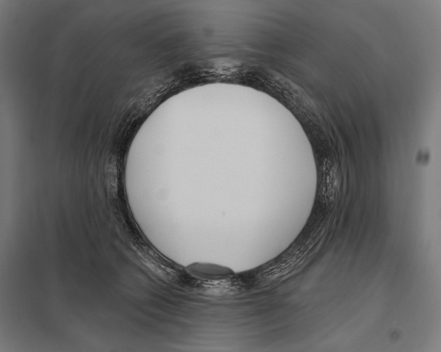 X0000097590562200803280930