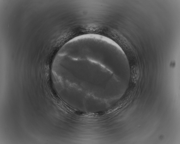 X0000097590563200803280930