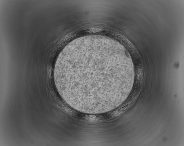 X0000097590565200803280930