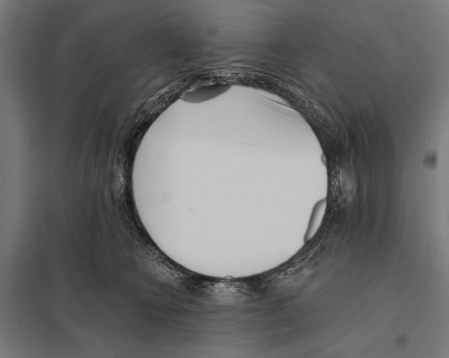 X0000097590566200803280930