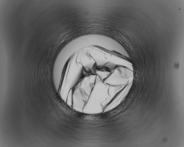 X0000097590568200803280930