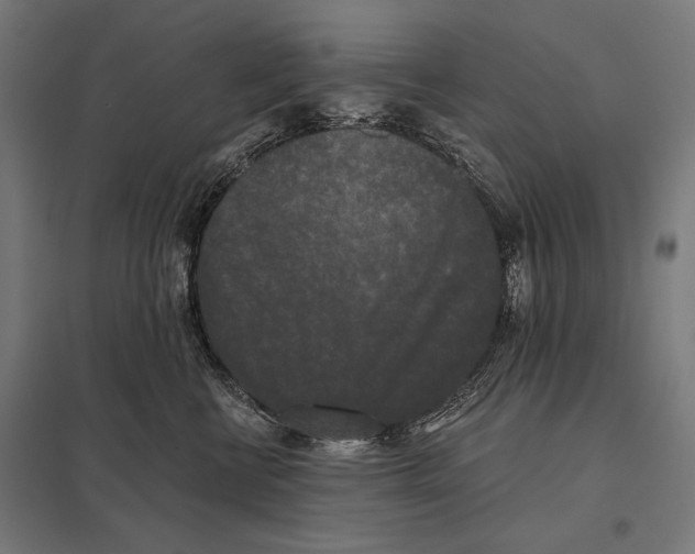 X0000097590570200803280930