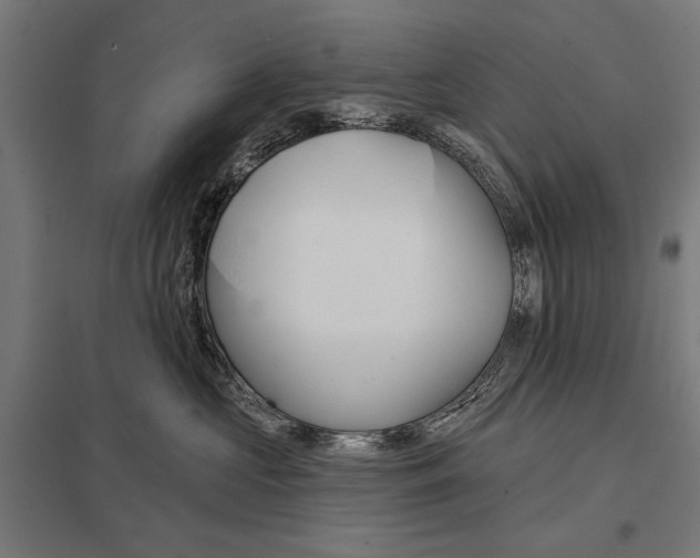 X0000097590573200803280930