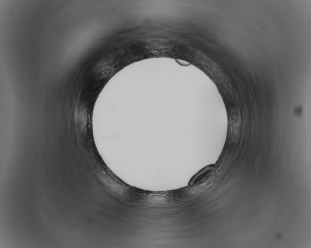 X0000097590574200803280930