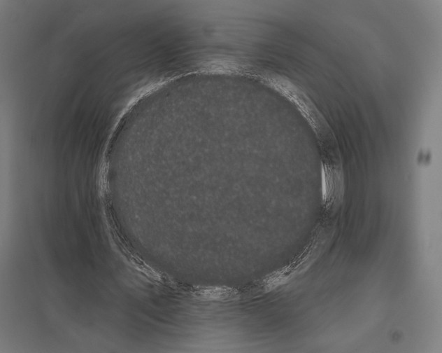 X0000097590579200803280929