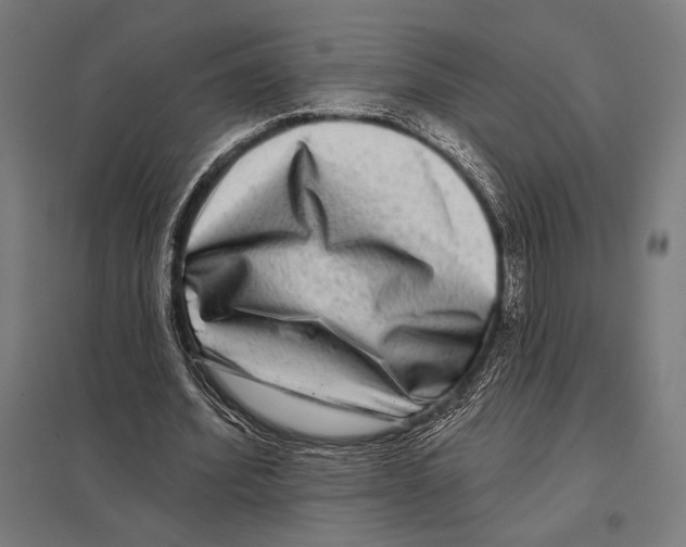 X0000097590580200803280929