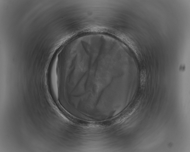 X0000097590581200803280929