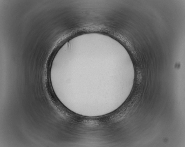 X0000097590582200803280929