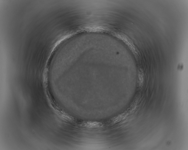 X0000097590583200803280929