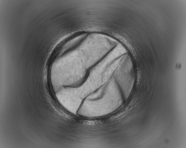 X0000097590584200803280929